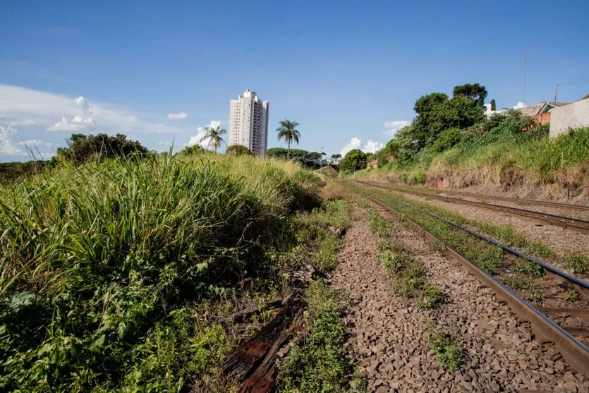 Mato alto toma conta às margens das ferrovias em Apucarana