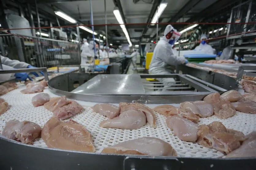 O Paraná lidera a produção de frango no Brasil
