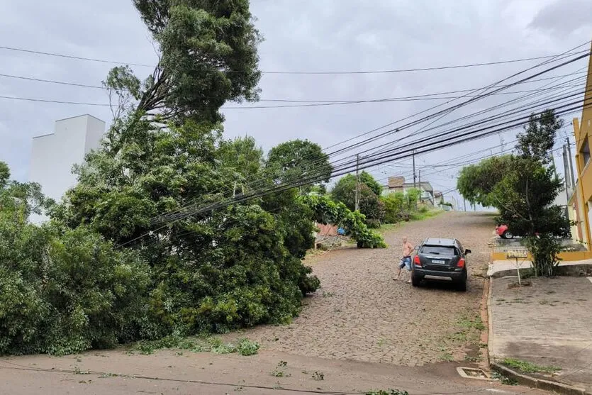 A incidência de ventos chegou a até 90 km/h em algumas localidades