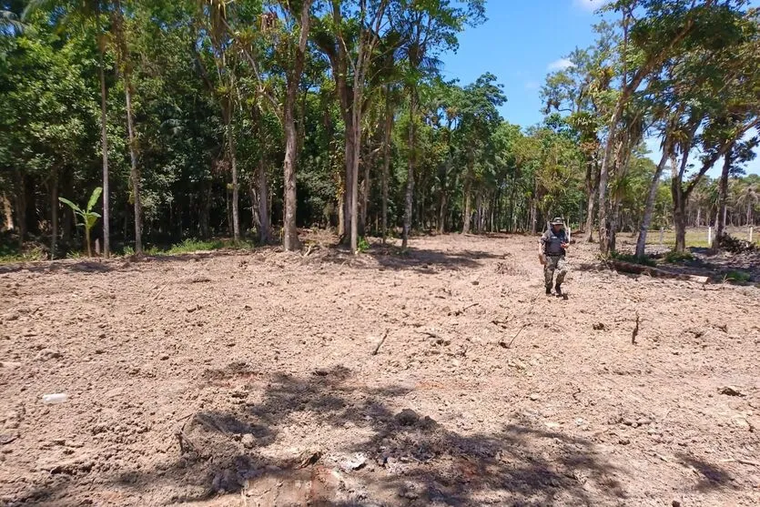 A operação começou pouco antes do início do verão