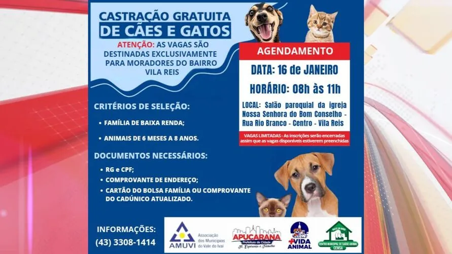 Agendamento para castração gratuita segue na Vila Reis nesta terça