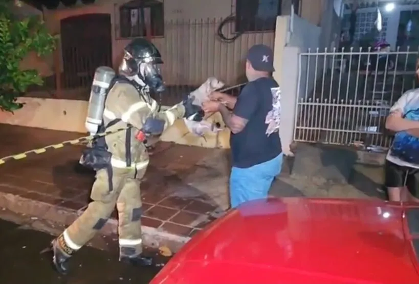 Cachorro foi entregue aos vizinhos