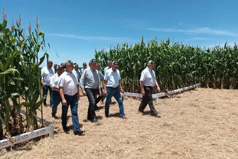 Dias de Campo divulgam inovação e boas práticas agrícolas no Oeste do Paraná