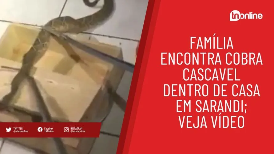 Família encontra cobra cascavel dentro de casa em Sarandi; veja vídeo