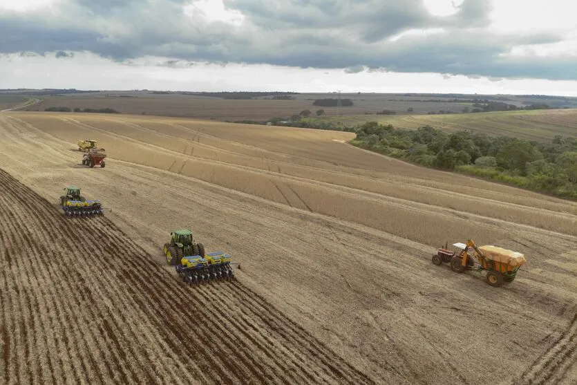 Foram plantados pouco mais de 1,6 mil hectares dos 2,4 milhões de hectares