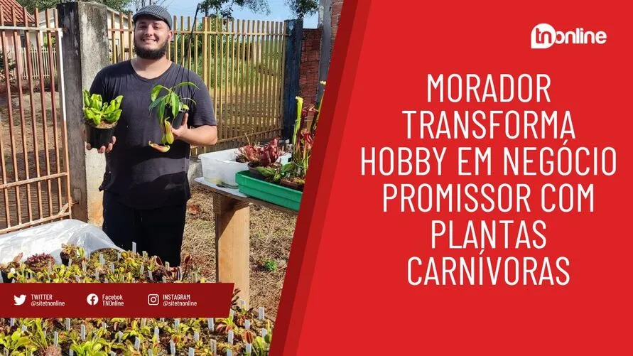 Morador transforma hobby em negócio promissor com plantas carnívoras