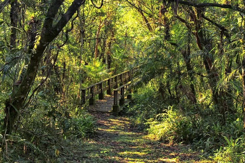 Parque Estadual Rio da Onça