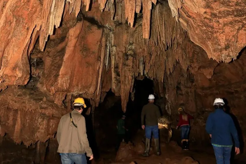 Partindo de Curitiba, o acesso principal ao parque é feito pela BR-476 no km 63