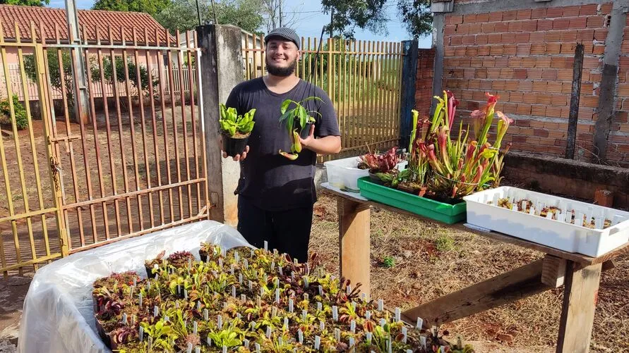 Wesley transformou o cultivo de plantas carnívoras em negócio