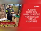 Morador transforma hobby em negócio promissor com plantas carnívoras