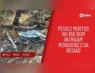 Mortandade de peixes no Rio Bom chama a atenção de moradores