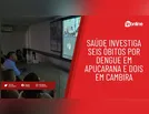 Saúde investiga seis óbitos por dengue em Apucarana e dois em Cambira