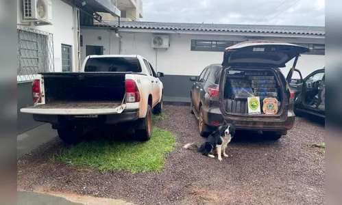 PMPR e Polícia Federal apreendem 2,2 toneladas de maconha em Cascavel
