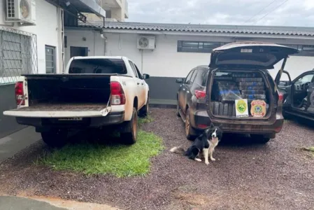 A apreensão aconteceu nesta segunda-feira (22)