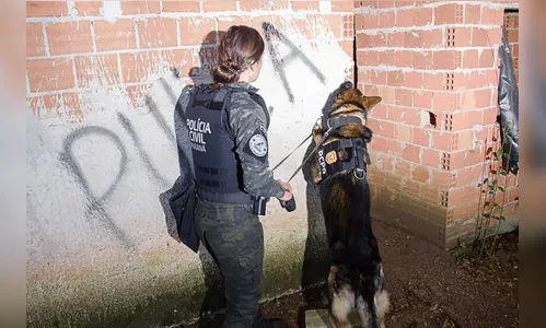 Ações da PCPR com cães melhoram 98% na apreensão de armas em 2023