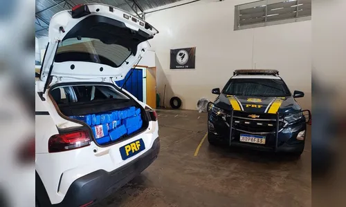 Motorista é preso com porta-malas abarrotado de maconha no PR
