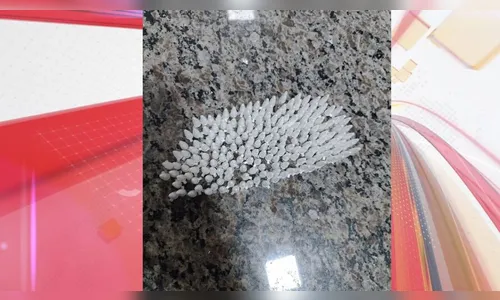 PM apreende 200 pinos de cocaína em lixeira em Apucarana