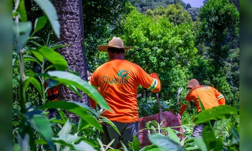 Com apoio do BRDE, empresa de erva-mate do PR ganha certificações