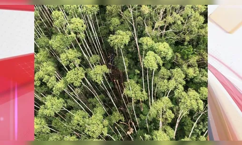 Helicóptero com 4 pessoas que desapareceu é encontrado após 12 dias