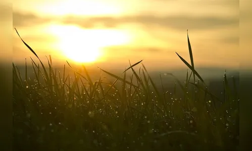 Apucarana: confira a previsão do tempo deste sábado (6)