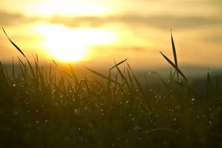 A máxima chegará aos 31°C