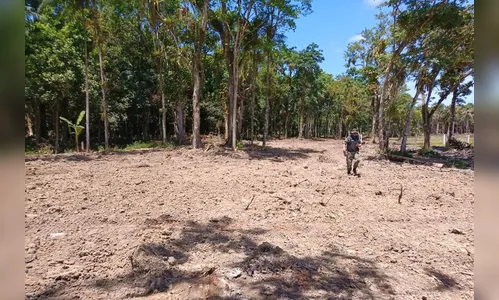 IAT aplica multa de R$ 55 mil por desmatamento ilegal no Paraná