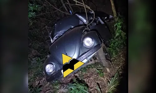 Motorista morre após bater o carro contra árvore no Norte Pioneiro