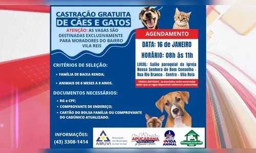 Agendamento para castração gratuita segue na Vila Reis nesta terça