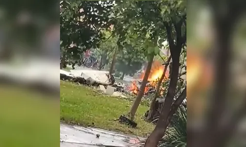 Criança e mais quatro pessoas morrem após avião cair e explodir