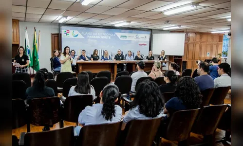 Audiência pública avalia Plano Municipal de Educação de Apucarana