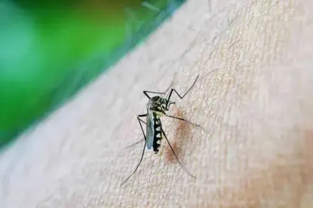 Avanço da dengue preocupa na região