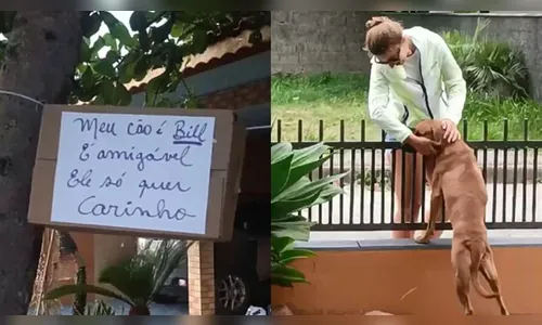 Viralizou: tutora instala placa e pede carinho para seu cão solitário