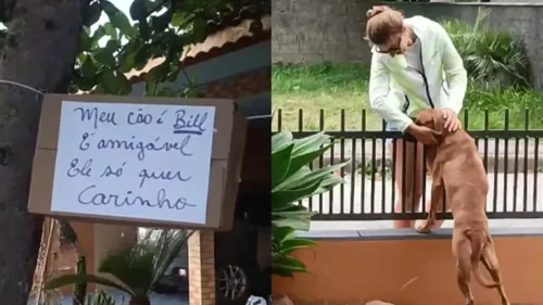 Bill passou a receber muitos afagos após instalação da placa