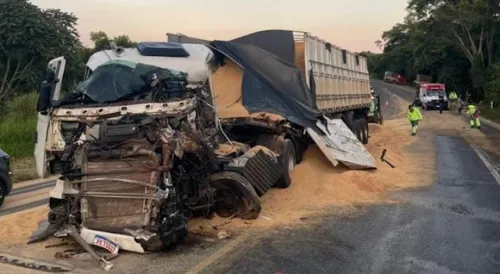 Colisão aconteceu na altura do km 360 da rodovia