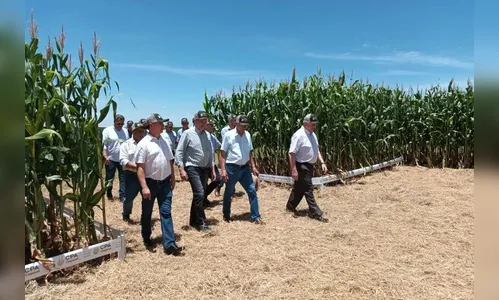 Eventos das cooperativas abrem calendário agrícola no no Oeste do PR