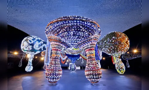 Museu Oscar Niemeyer registrou o maior público da história em 2023