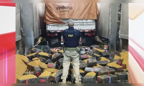 PRF apreende 2 toneladas de maconha dentro de caminhão em Arapongas