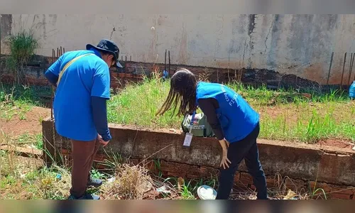 Alerta: casos de dengue aumentam em Marilândia do Sul
