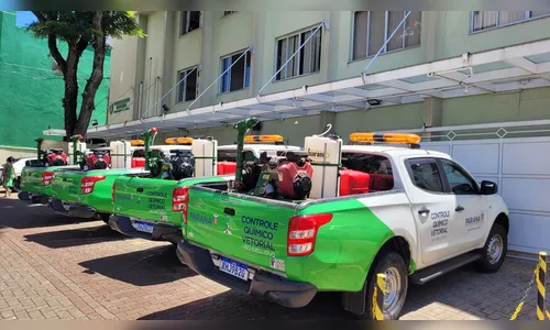 Estado monta força-tarefa para conter casos de dengue em Apucarana