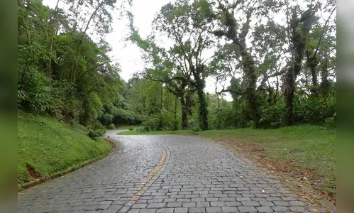 Três empresas disputam edital de monitoramento de áreas de risco