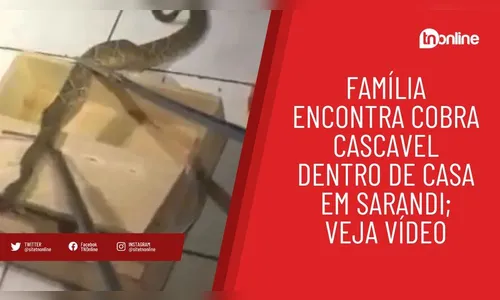 Família encontra cobra cascavel dentro de casa em Sarandi; veja vídeo