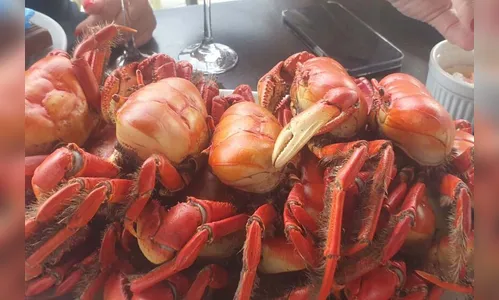 Festival do caranguejo atrai turistas em Pontal do Paraná