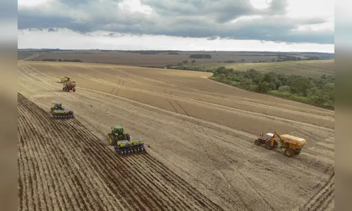 Plantio da 2ª safra de milho inicia com projeção de 14 mi de toneladas