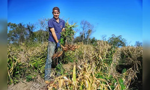 Programa de residência em economia rural seleciona 34 profissionais