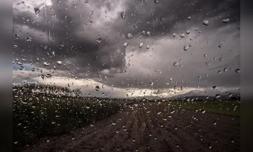 Ondas de calor e risco de tempestades marcam início de ano no Paraná
