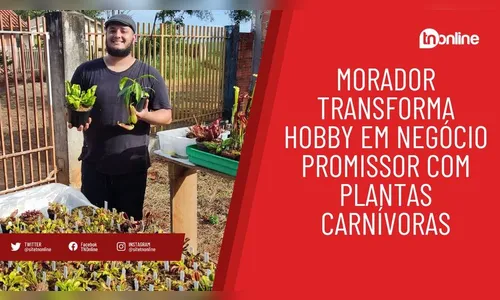 Morador transforma hobby em negócio promissor com plantas carnívoras