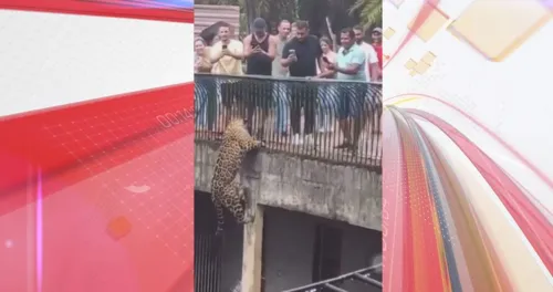 O fato foi registrado no Zoológico de Brasília