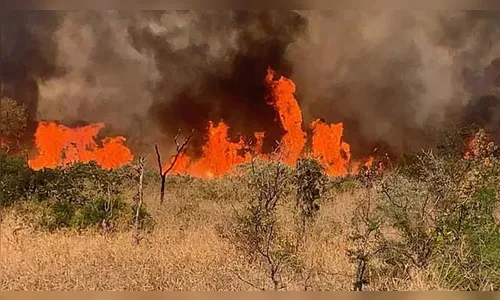 Homem é preso por incêndio culposo em terreno baldio em Ivaiporã