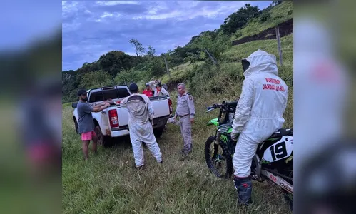 Jovens pulam em cachoeira para fugir de ataque de abelhas; veja vídeo