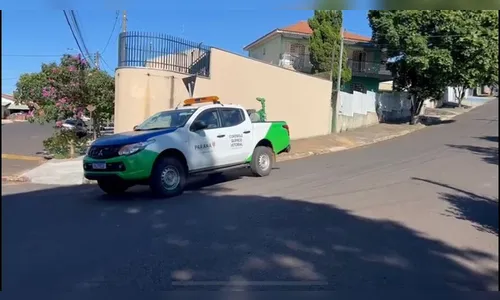 Jandaia do Sul confirma 473 casos de dengue e decreta epidemia